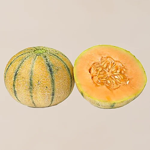 Musk Melon - 1pc