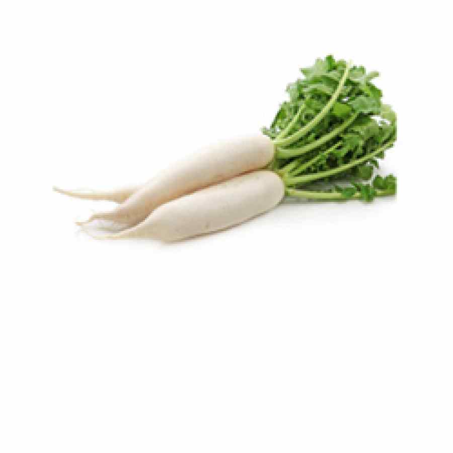 Radish - White