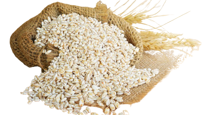 Barley - பார்லி (வாற்கோதுமை)