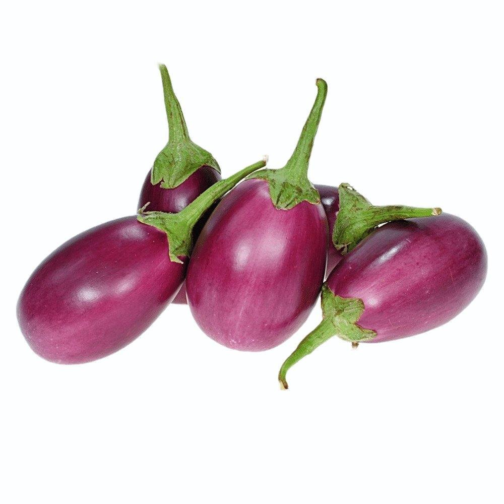 Purple brinjal