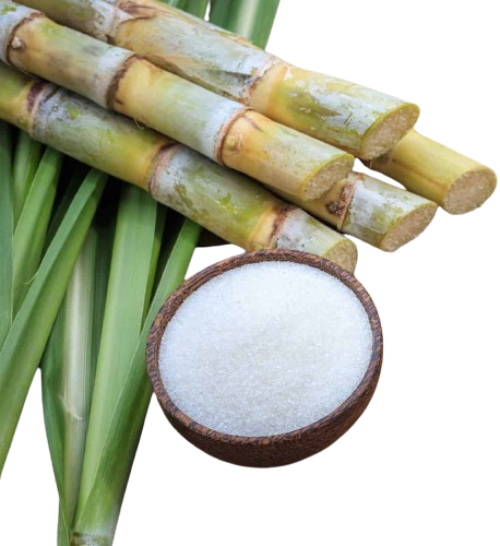 White Sugar - Orgfarm