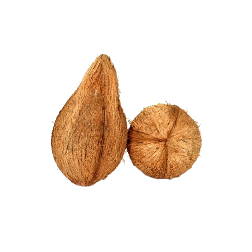 Coconut (350 gm - 450 gm)