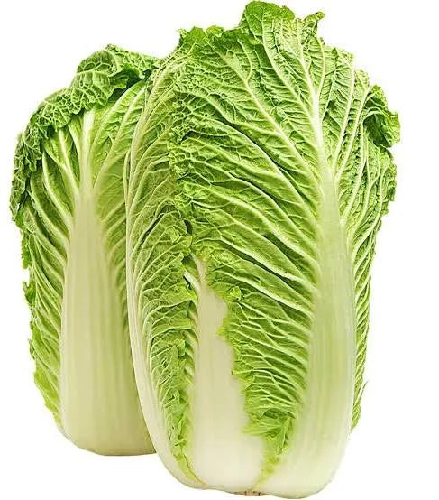 Chinese Cabbage