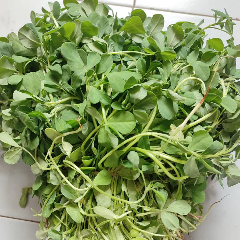 Fenugreek Leaves
