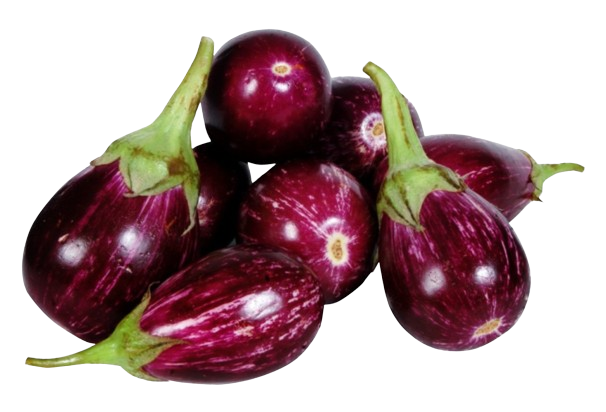 Brinjal