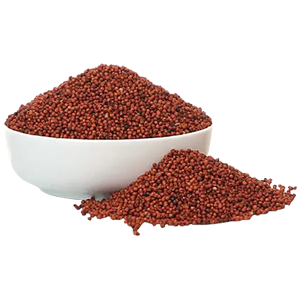 Finger Millet/Ragi - கேழ்வரகு