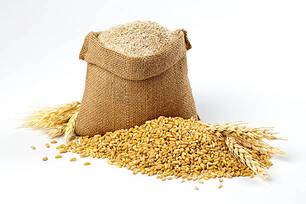 Sambha Wheat flour - 500gm
