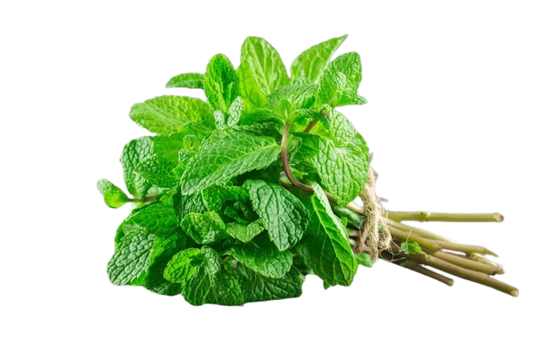 Mint Leaves