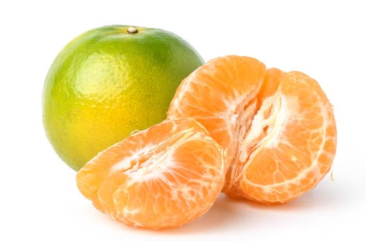 Nagpur Orange